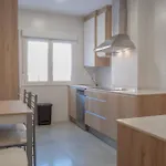 Avg Palencia 3 Apartamento
